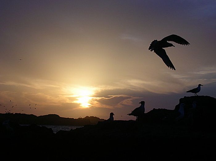 Mogador-Essaouira - Portail _410