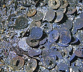Comentarios al artículo: Medallas en un pecio del s. XIX de P. Rgude Bouton10