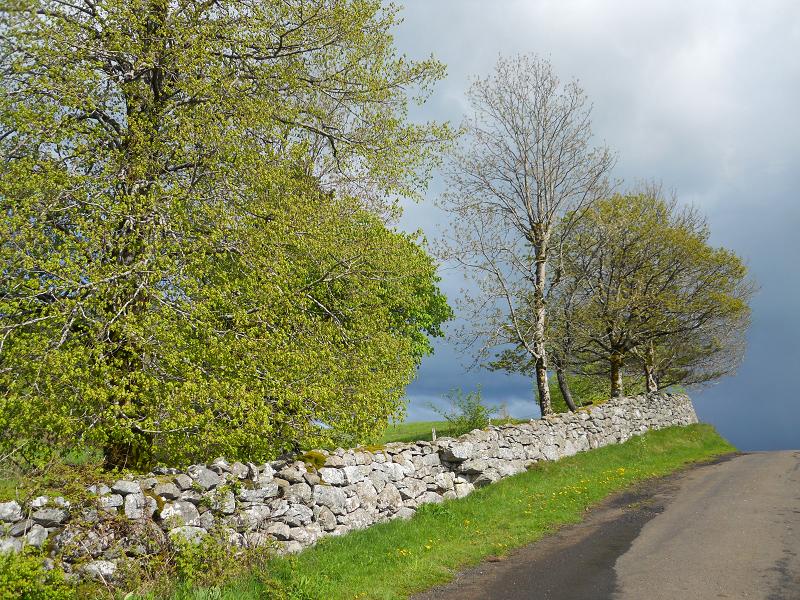 Le mur de Millange (Le Monteil) Dscn1410