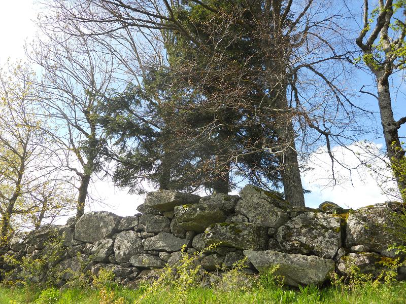 Le mur de Millange (Le Monteil) Dscn1415