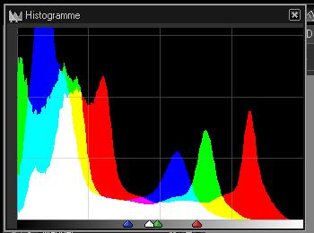 Silkypix : première approche et fonctionnalités de base Ill5810