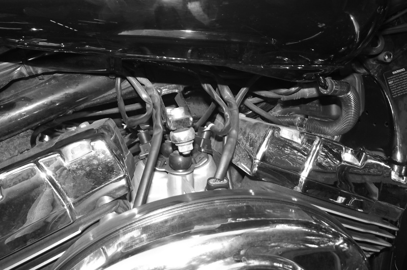 TUTOS. 17 : Montage du Boitier TFi Zodiac sur RK 2000. Swing Dscf1710