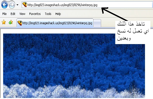 وضع الصور بطريقة جديدة 2_bmp10