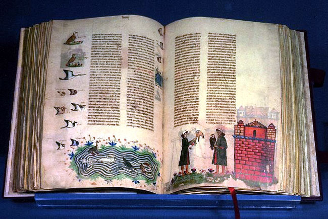 FRÉDÉRIC II , traité de fauconnerie - avant 1250 Traite10