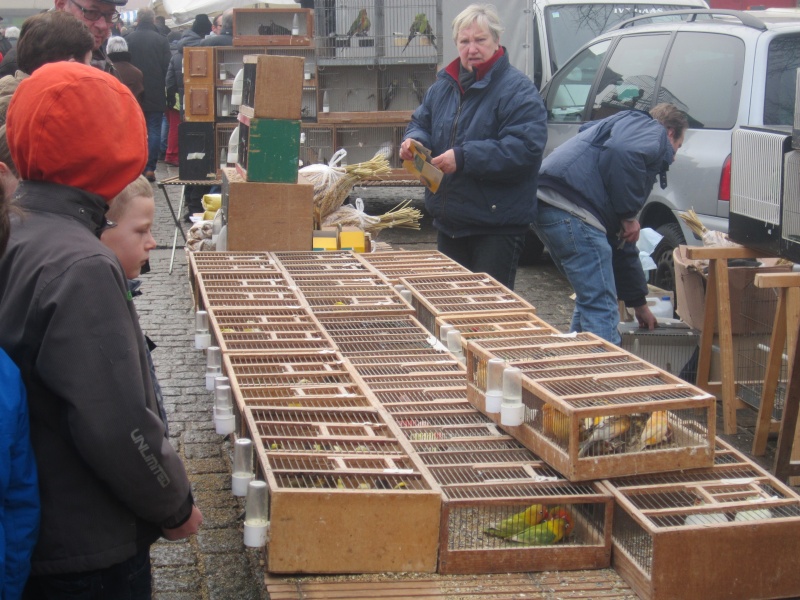 Bourse de Aarschot Img_3511