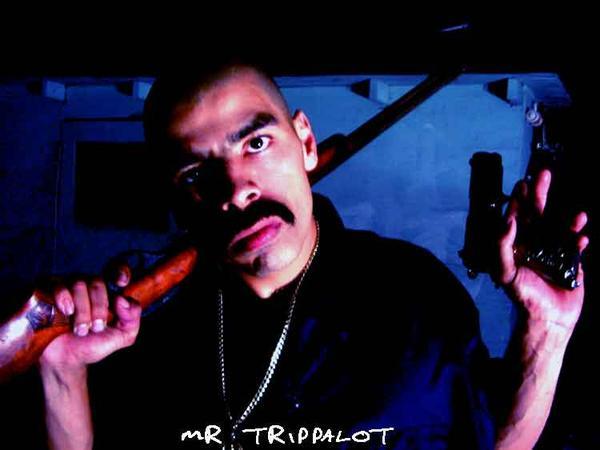 Mr Trippalot Reckless Life Xzzzzz10