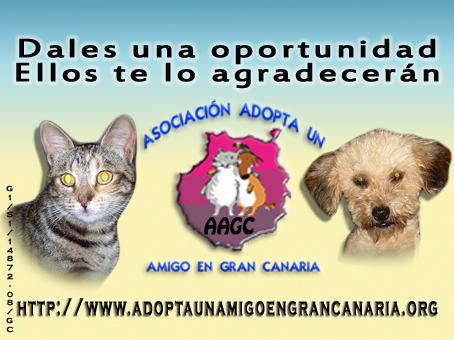 ADOPTA UN AMIGO EN GC EN GOOGLE Aagc_f10