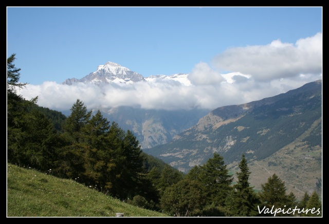 Les Alpes, la Savoie, chez nous... Photo du 20 mai 2010 Blog410