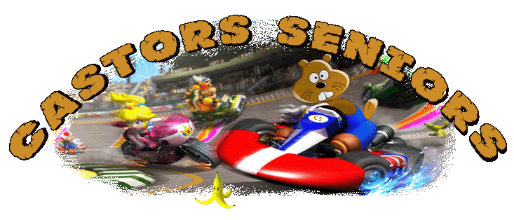 Le FoFo des vieux Castors Séniors sur Mario Kart Wii