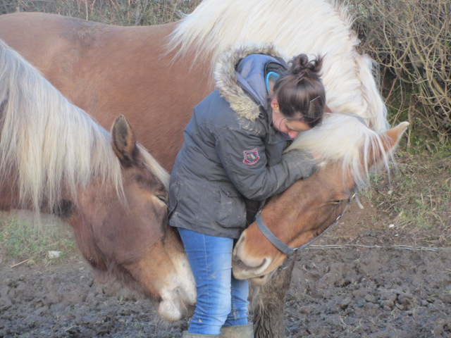 NOS MASCOTTES : ADRENALINE CEDA et IRIS (Pas à l'adoption) - Page 30 Img_2317