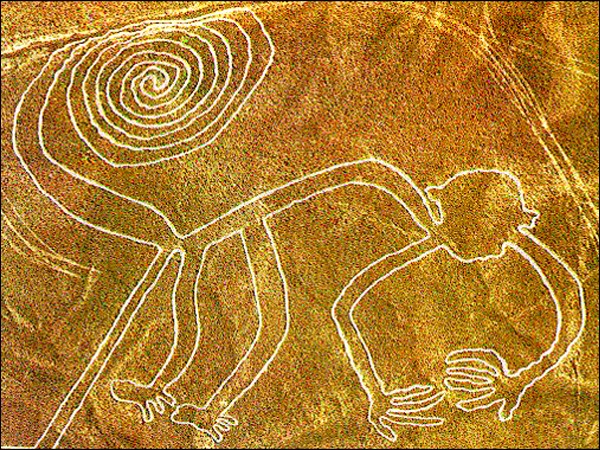 Les lignes (géoglyphes) de Nazca, selon vous, quelles sont leurs significations ? Naz_si10