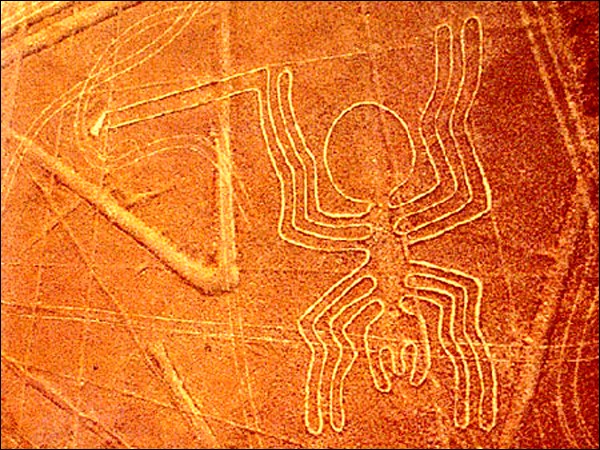 Les lignes (géoglyphes) de Nazca, selon vous, quelles sont leurs significations ? Naz_sp10