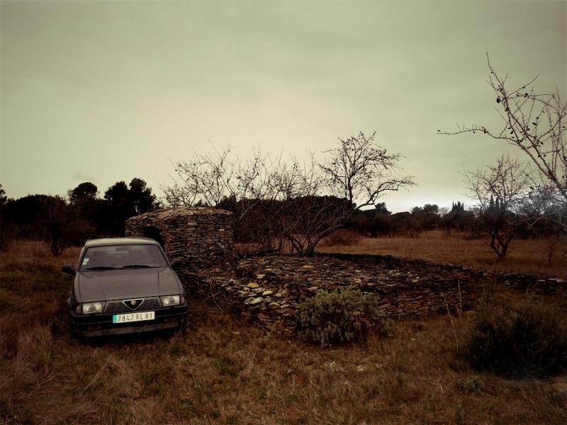 concours photo du mois de janvier 2015 le vote 3_miky10