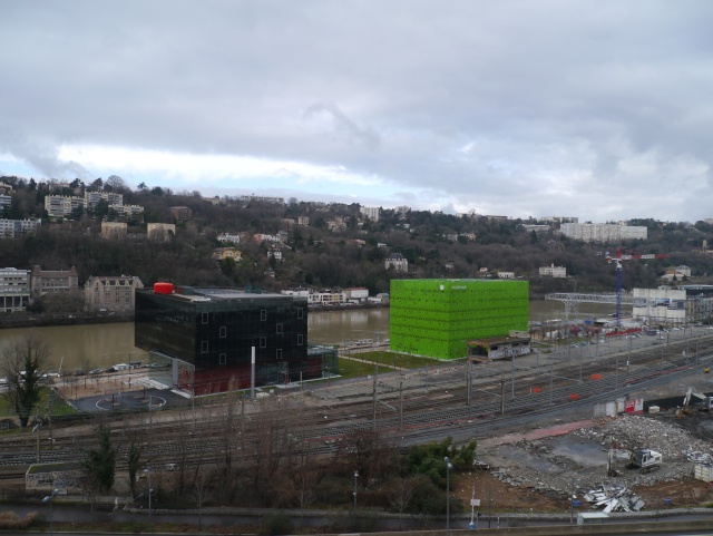 [MUSEE-LYON] Le Musée des Confluences (Fev 2015) P1610012