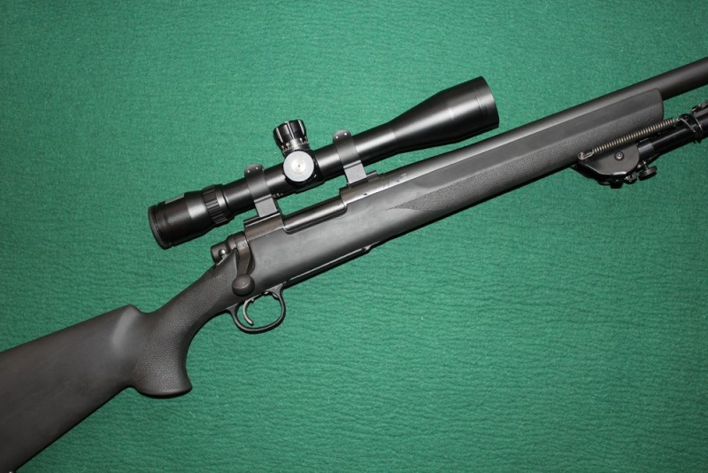 Les Remington 700 en 308 dispo en france Img_7414