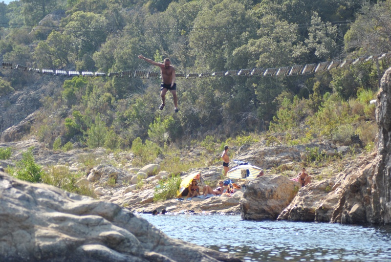 Vos cerf-volants en vacances ... 2012 Dsc_9711