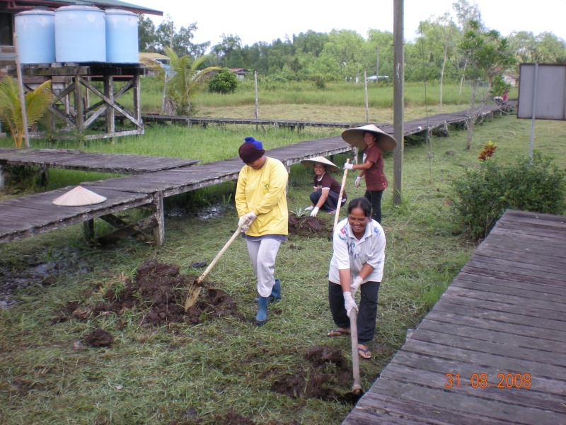 BERITA BERGAMBAR DARI KK NANGA SEMAH, DARO Dscn0619