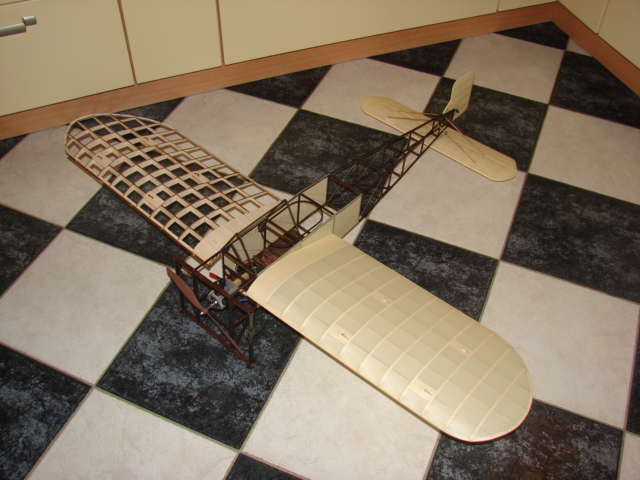 avion - CONSTRUCTION D'UN AVION PAS A PAS POUR LES DEBUTANT BLERIOT - Page 39 Dsc08286