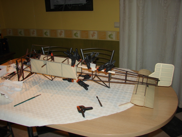 CONSTRUCTION D'UN AVION PAS A PAS POUR LES DEBUTANT BLERIOT (SUITE) - Page 3 Dsc08349