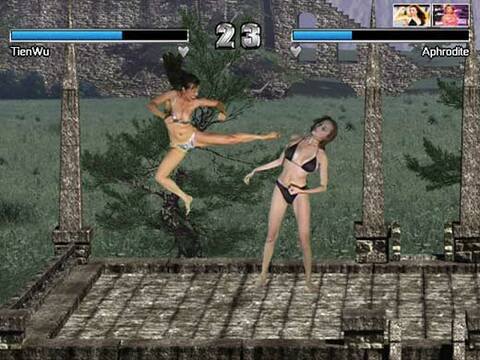 Bikini Karate Babes sur PC