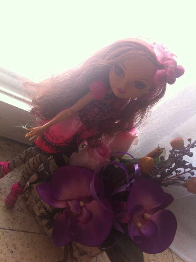 Ever After High Briar Beauty And Ashlynn By Vanessa Img_1310