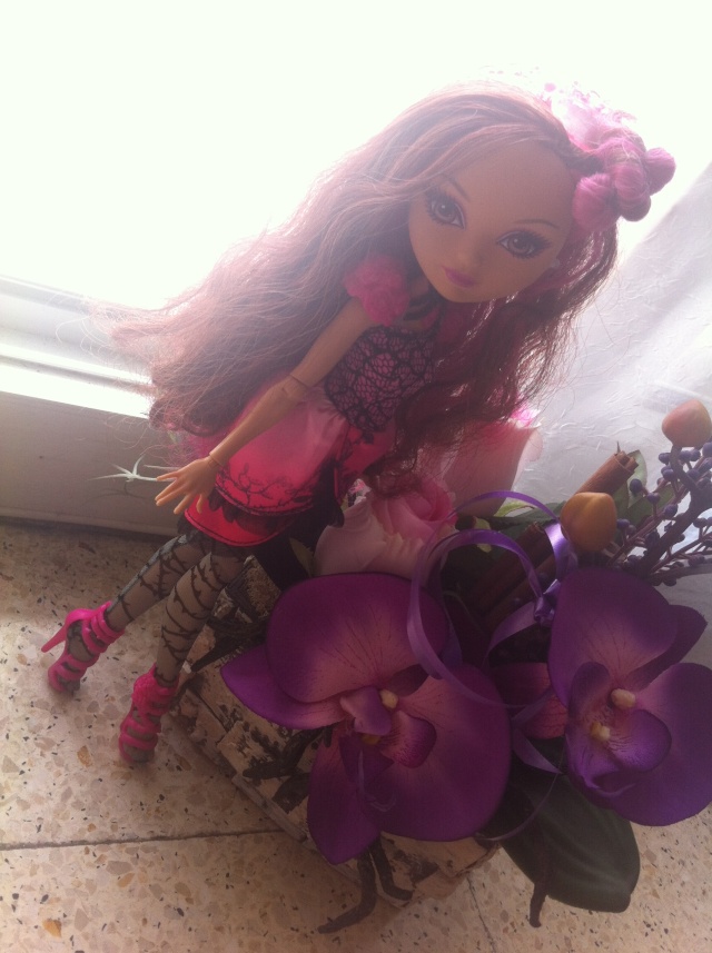 Ever After High Briar Beauty And Ashlynn By Vanessa Img_1311