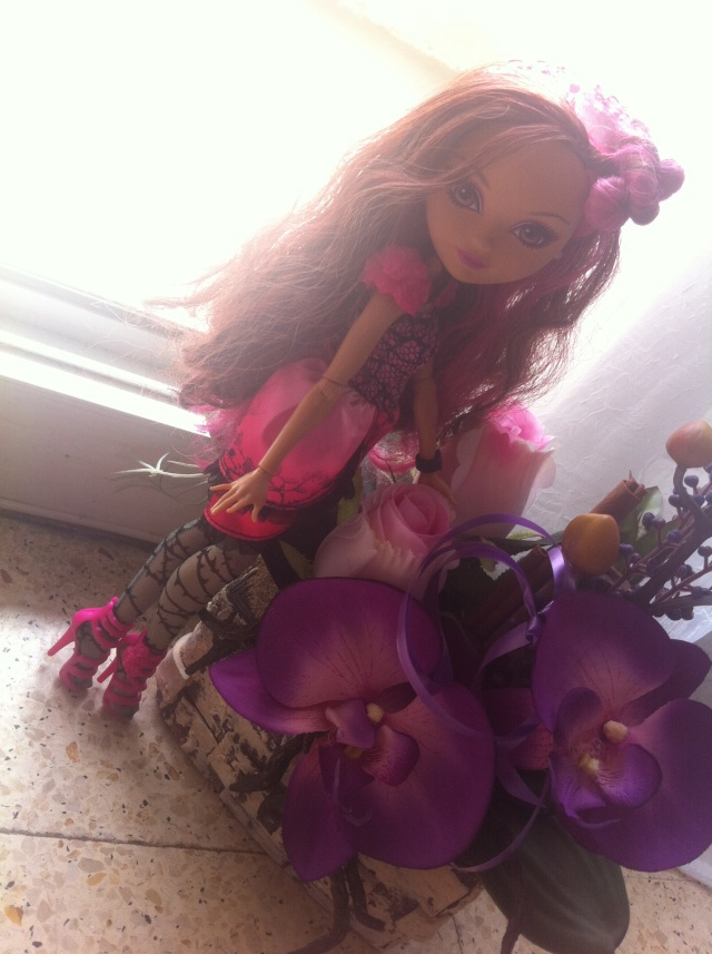 Ever After High Briar Beauty And Ashlynn By Vanessa Img_1313