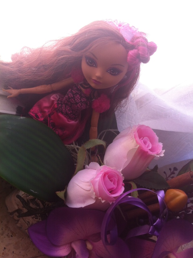 Ever After High Briar Beauty And Ashlynn By Vanessa Img_1317