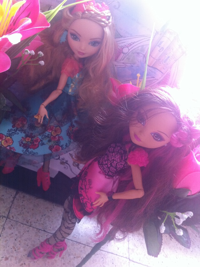 Ever After High Briar Beauty And Ashlynn By Vanessa Img_5721