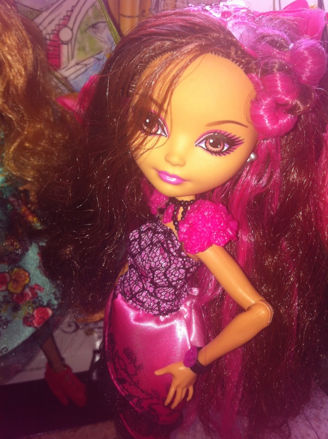 Ever After High Briar Beauty And Ashlynn By Vanessa Img_5725