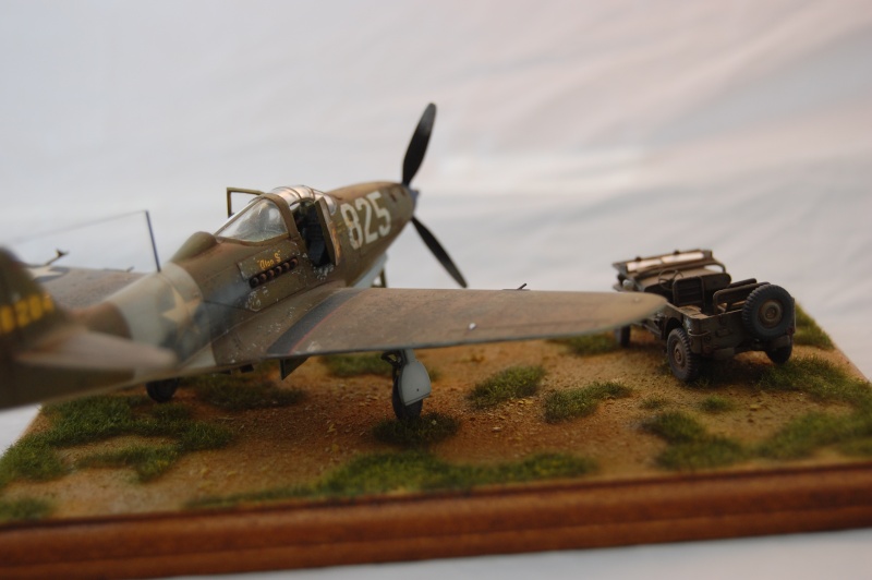 Bell P-39 L/N - RS Models - 1/72 Dsc_0095