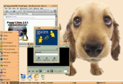 Puppy Linux 250px-10