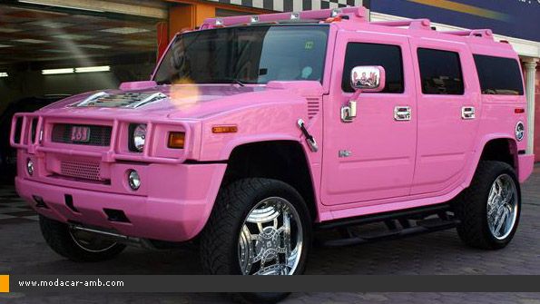         Hummer               73980311