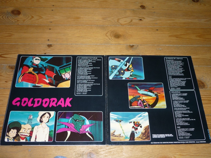 Ma collection de Goldorak P1110820