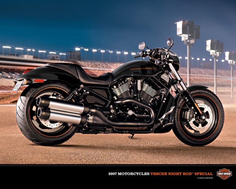 Harley Davidson Night Rod Special Harley11