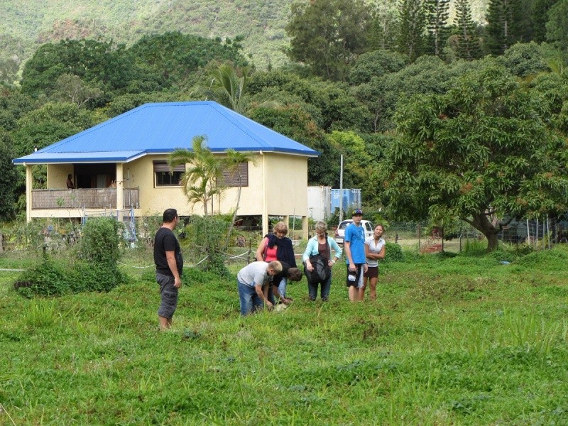 Balade des chiots à Dumbéa 2012-198