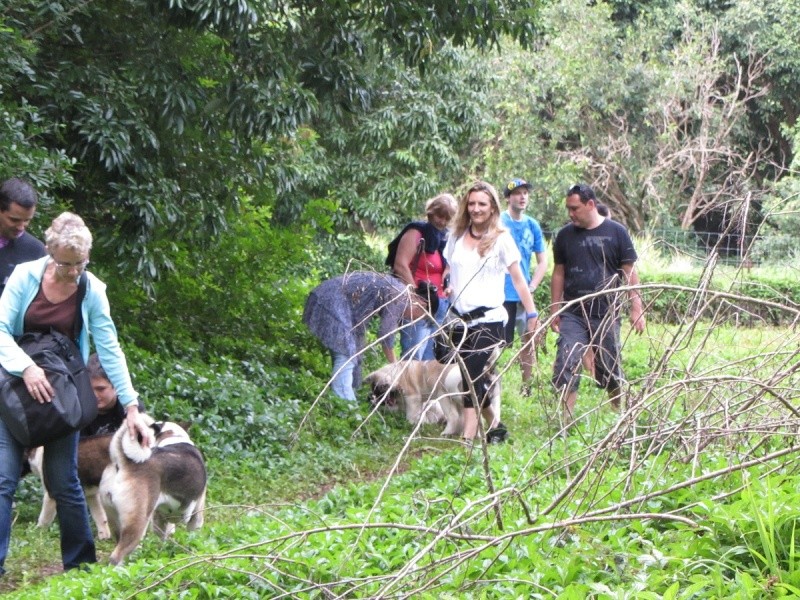 Balade des chiots à Dumbéa 2012-240