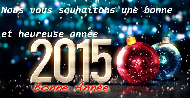 MEILLEURS VOEUX 2015 ! 029_210