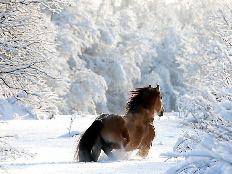 Une très belle photo par jour et par membre - Page 9 15472411