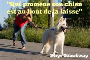 citations sur le chien - Page 3 Th12