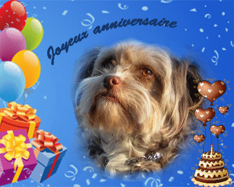 Bon Anniversaire Sylvie Bon Anniversaire Sylvie