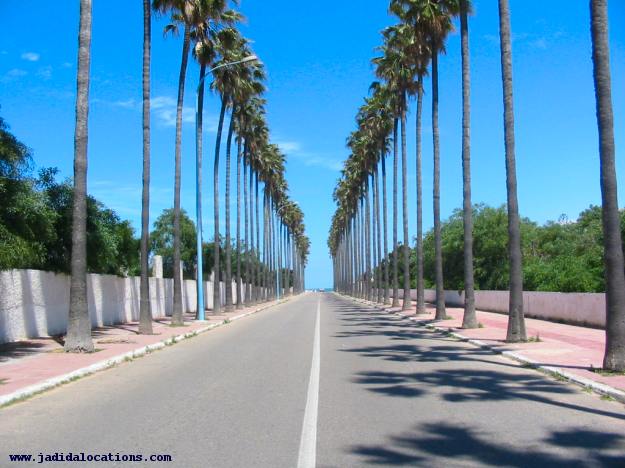 ... Casablanca vers El-Jadida .... Allee_10