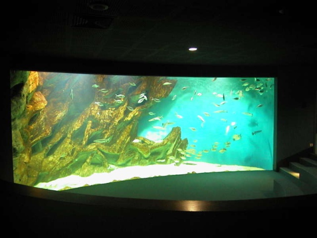 Aquarium de La Rochelle Laroch10