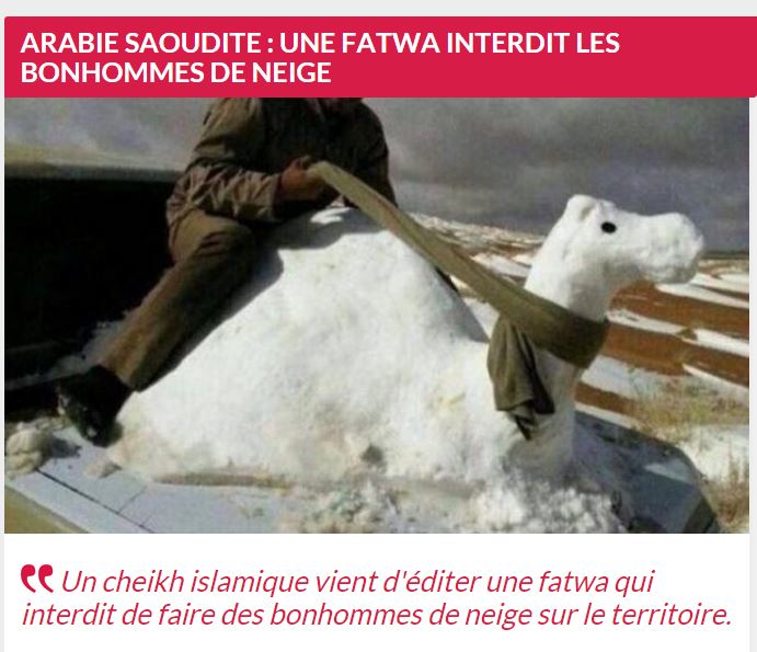 Le Monde Musulman [Topic Unique] - actu, débats et commentaires - Page 4 Fatwa_10