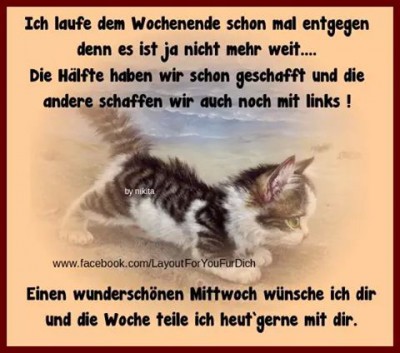 Guten Morgen - Seite 39 B5ce3510