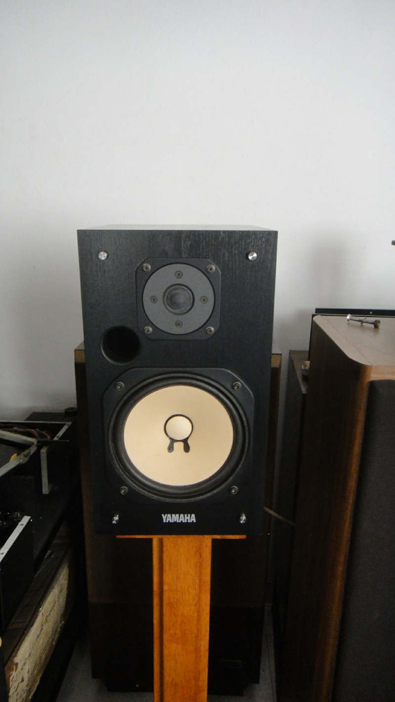 Yamaha NS-10M T speaker (Used)SOLD Dsc02534