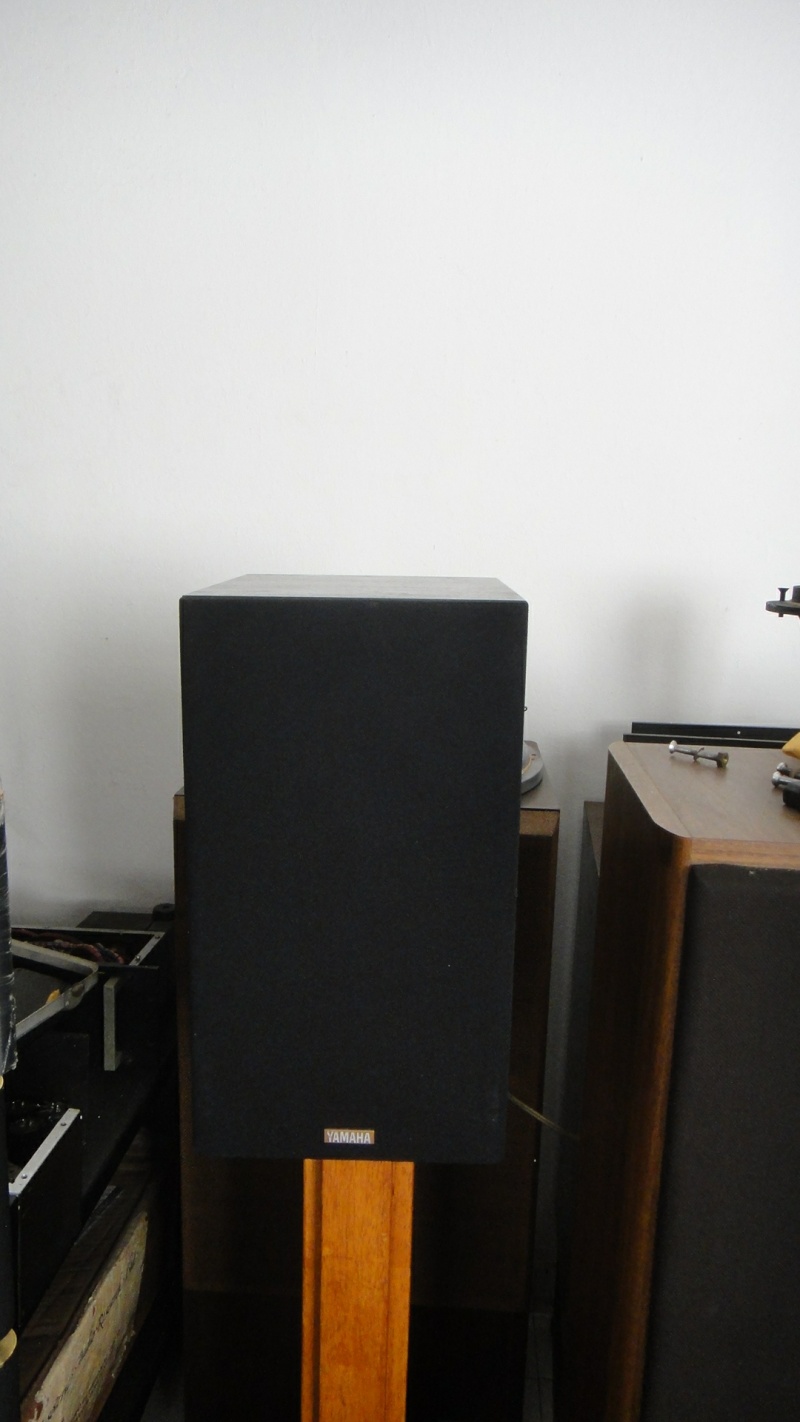 Yamaha NS-10M T speaker (Used)SOLD Dsc02535
