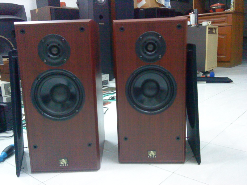 Aaron ATS-2 speakers (Used)SOLD Dsc02911