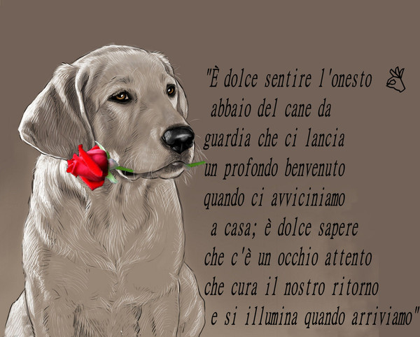 Mercoledi 18 Febbraio 2015 Buongiorno 1cane110