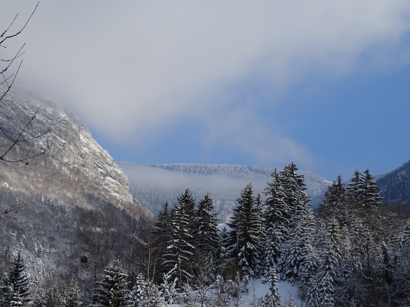 petite balade sur yodelande  Dsc01011